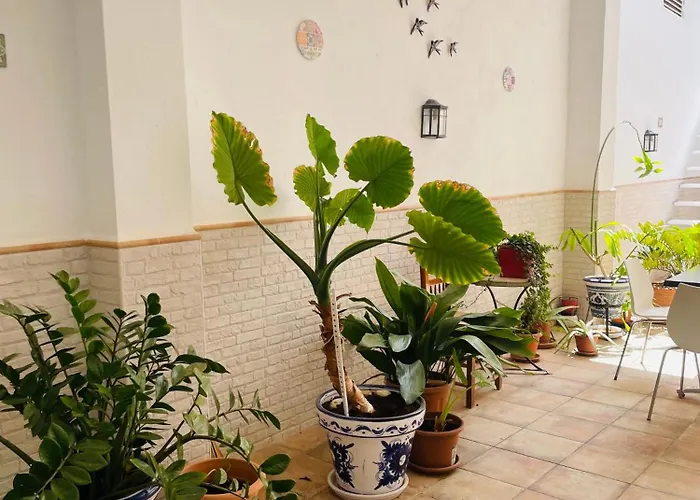 Patio De Barberos